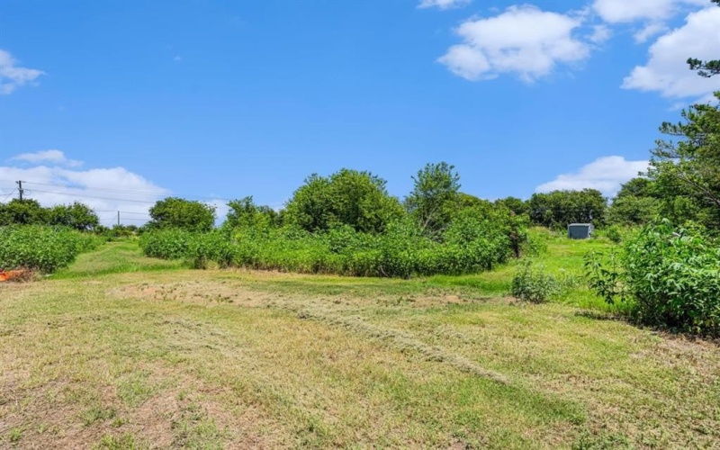 151 CR 1318, Hillsboro, TX 76645, 3 Bedrooms Bedrooms, ,2 BathroomsBathrooms,Residential,For Sale,151 CR 1318,0,21034531