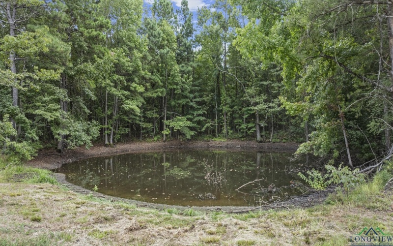 14157 County Road 173 N, Kilgore, TX 75662, 5 Bedrooms Bedrooms, ,3 BathroomsBathrooms,Residential,For Sale,14157 County Road 173 N,0,20255702