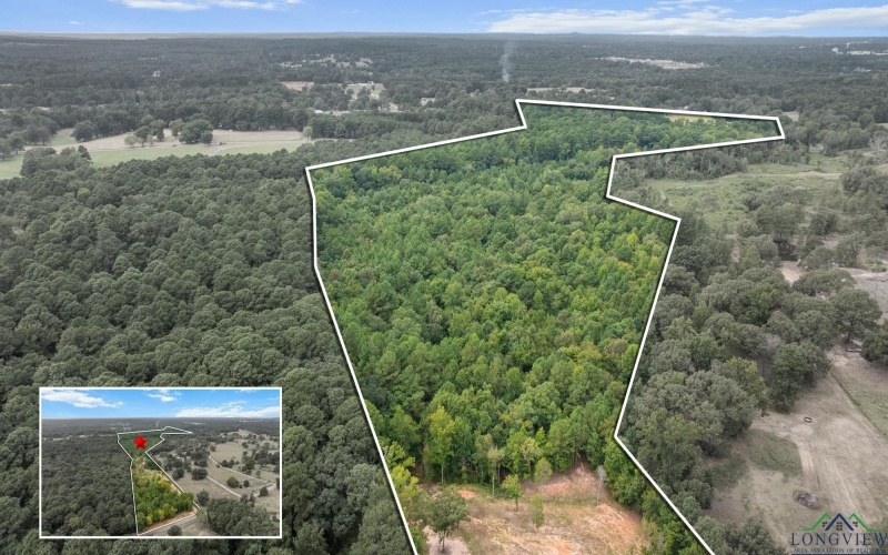 14157 County Road 173 N, Kilgore, TX 75662, 5 Bedrooms Bedrooms, ,3 BathroomsBathrooms,Residential,For Sale,14157 County Road 173 N,0,20255702