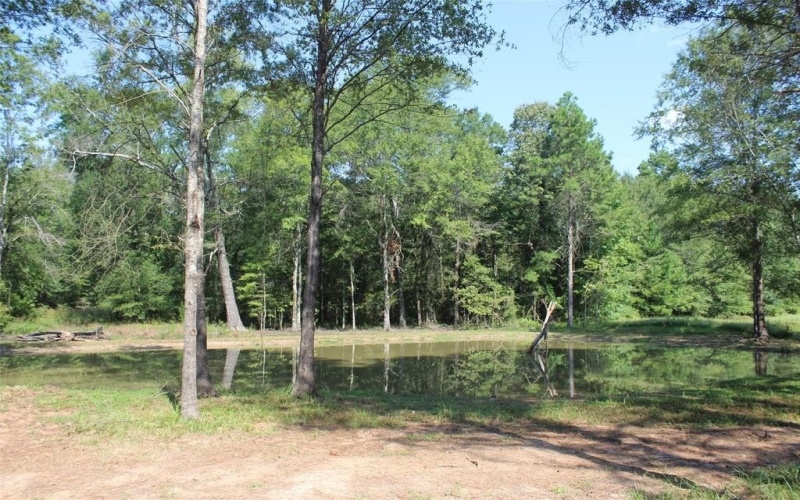 4052 LA 154, Elm Grove, LA 71051, ,Tierra,En Venta,4052 LA 154,0,21034313