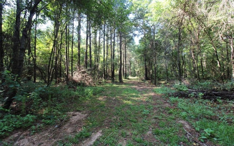 4052 LA 154, Elm Grove, LA 71051, ,Tierra,En Venta,4052 LA 154,0,21034313