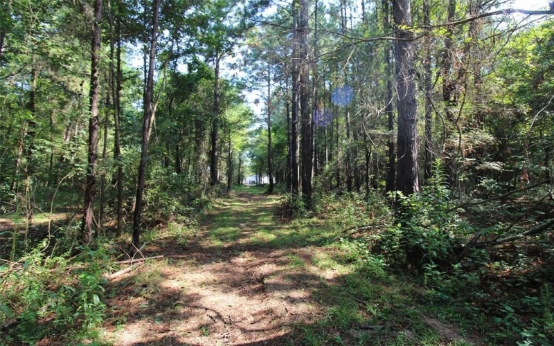 4052 LA 154, Elm Grove, LA 71051, ,Tierra,En Venta,4052 LA 154,0,21034313