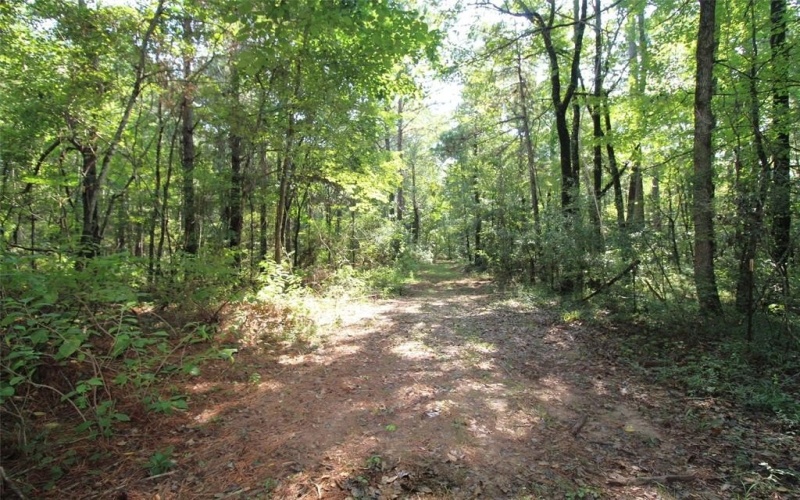 4052 LA 154, Elm Grove, LA 71051, ,Tierra,En Venta,4052 LA 154,0,21034313