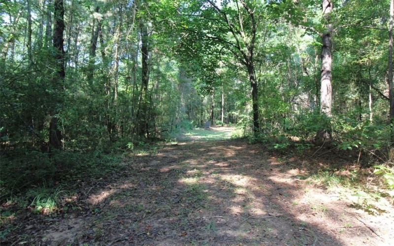 4052 LA 154, Elm Grove, LA 71051, ,Tierra,En Venta,4052 LA 154,0,21034313