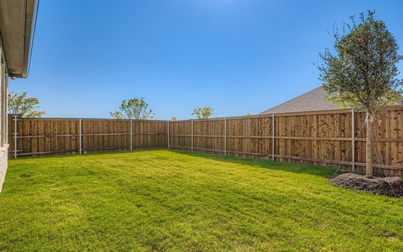 802 Trailing Vine Way, Lavon, TX 75166, 4 Bedrooms Bedrooms, ,3 BathroomsBathrooms,Residential,For Sale,802 Trailing Vine Way,0,21036376