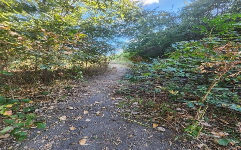 236 Hilltop Drive, Ennis, TX 75119, 3 Habitaciones Habitaciones , ,2 BañosBaños,Residential,En Venta,236 Hilltop Drive,0,21023025