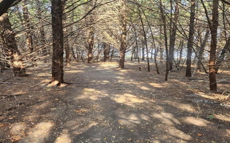 236 Hilltop Drive, Ennis, TX 75119, 3 Habitaciones Habitaciones , ,2 BañosBaños,Residential,En Venta,236 Hilltop Drive,0,21023025