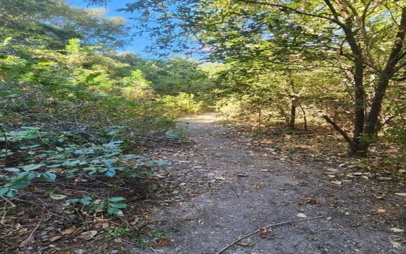 236 Hilltop Drive, Ennis, TX 75119, 3 Habitaciones Habitaciones , ,2 BañosBaños,Residential,En Venta,236 Hilltop Drive,0,21023025