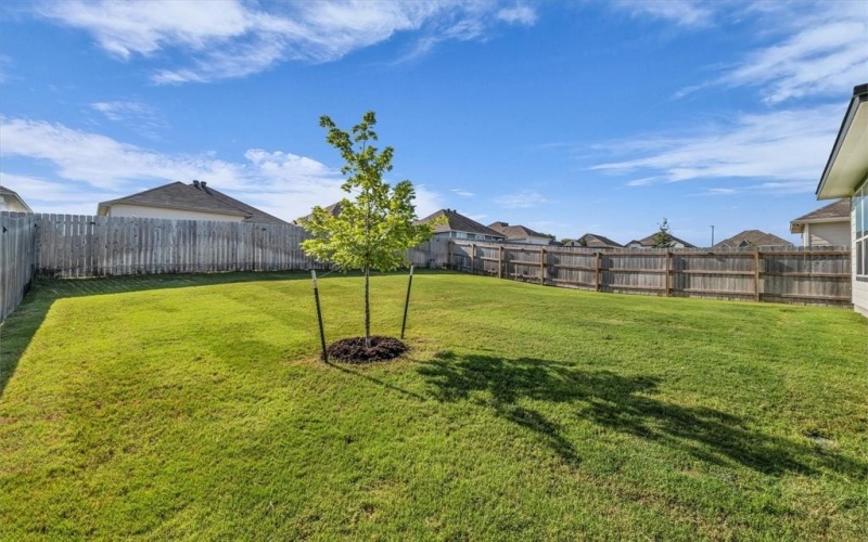117 University Avenue, Troy, TX 76579, 3 Habitaciones Habitaciones , ,2 BañosBaños,Residential,En Venta,117 University Avenue,0,21037542