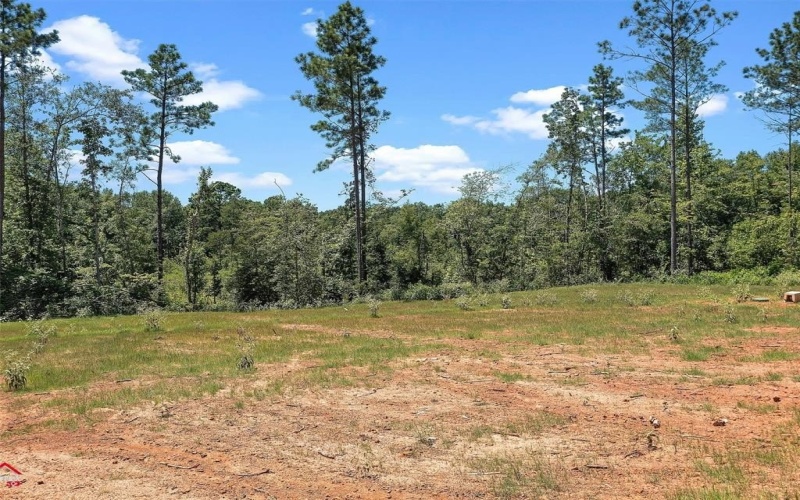 312 Lake Road, Plain Dealing, LA 71064, 4 Bedrooms Bedrooms, ,2 BathroomsBathrooms,Residential,For Sale,312 Lake Road,0,21037680