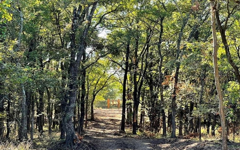 Lot 24 Vest Lane Road, Pilot Point, TX 76258, ,Land,For Sale,Lot 24 Vest Lane Road,0,21039216