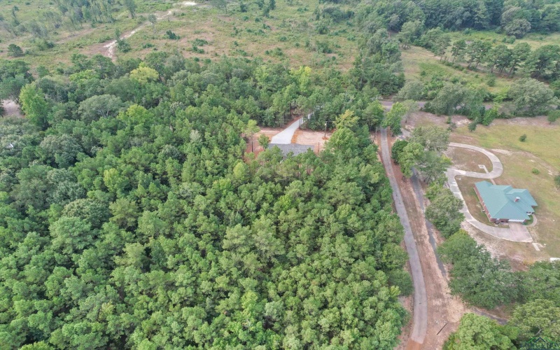 1715 Gardenia Rd, Gilmer, TX 75645, 4 Bedrooms Bedrooms, ,2 BathroomsBathrooms,Residential,For Sale,1715 Gardenia Rd,0,20255806