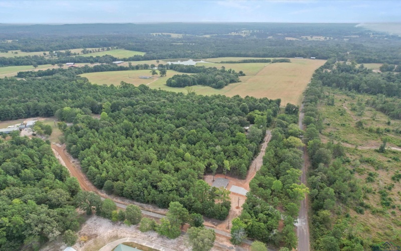 1715 Gardenia Rd, Gilmer, TX 75645, 4 Bedrooms Bedrooms, ,2 BathroomsBathrooms,Residential,For Sale,1715 Gardenia Rd,0,20255806