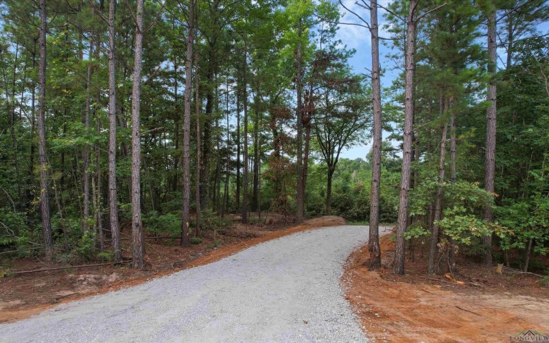 1715 Gardenia Rd, Gilmer, TX 75645, 4 Bedrooms Bedrooms, ,2 BathroomsBathrooms,Residential,For Sale,1715 Gardenia Rd,0,20255806
