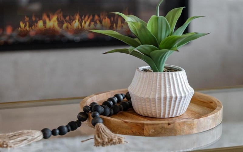 904 Beall Street, Denton, TX 76207, 3 Bedrooms Bedrooms, ,2 BathroomsBathrooms,Residential,For Sale,904 Beall Street,0,21039654