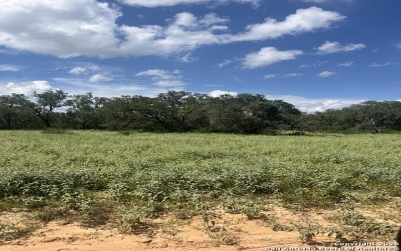 Lot 14 10392 Fm 476, Poteet, TX 78065, 3 Bedrooms Bedrooms, ,2 BathroomsBathrooms,Residential,For Sale,Lot 14 10392 Fm 476,0,1895094