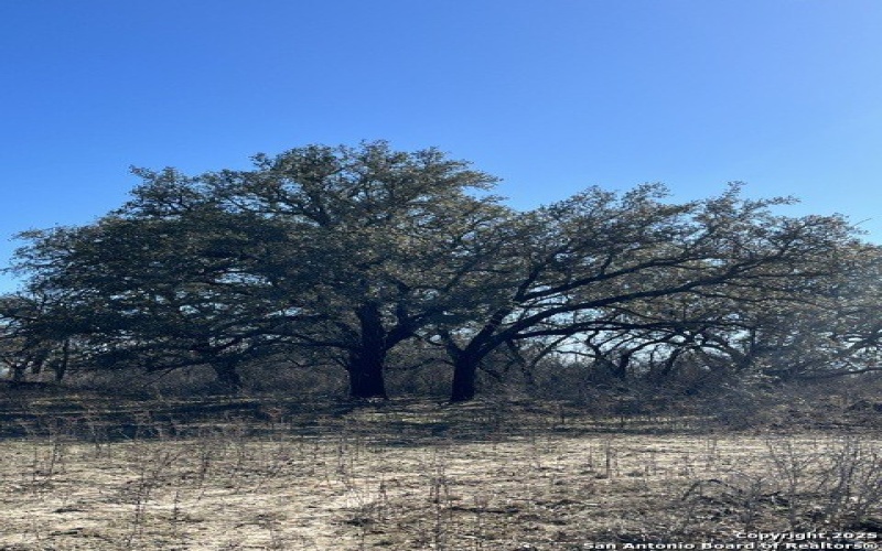 Lot 3 10392 Fm 476, Poteet, TX 78065, 3 Bedrooms Bedrooms, ,2 BathroomsBathrooms,Residential,For Sale,Lot 3 10392 Fm 476,0,1895096