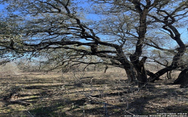 Lot 3 10392 Fm 476, Poteet, TX 78065, 3 Bedrooms Bedrooms, ,2 BathroomsBathrooms,Residential,For Sale,Lot 3 10392 Fm 476,0,1895096