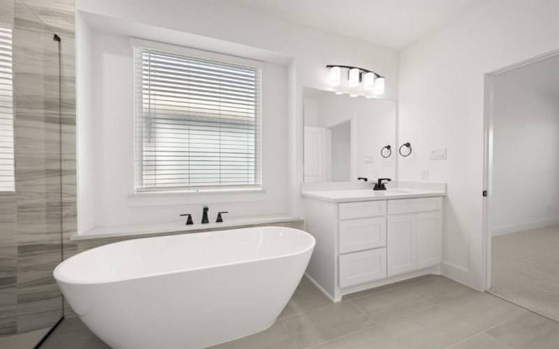 3711 Ironwood Street, Midlothian, TX 76065, 6 Bedrooms Bedrooms, ,5 BathroomsBathrooms,Residential,For Sale,3711 Ironwood Street,0,21040698