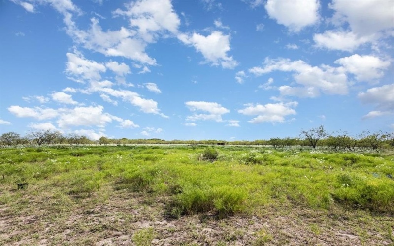 601 Gin Road, Ennis, TX 75119, 4 Bedrooms Bedrooms, ,3 BathroomsBathrooms,Residential,For Sale,601 Gin Road,0,21035936
