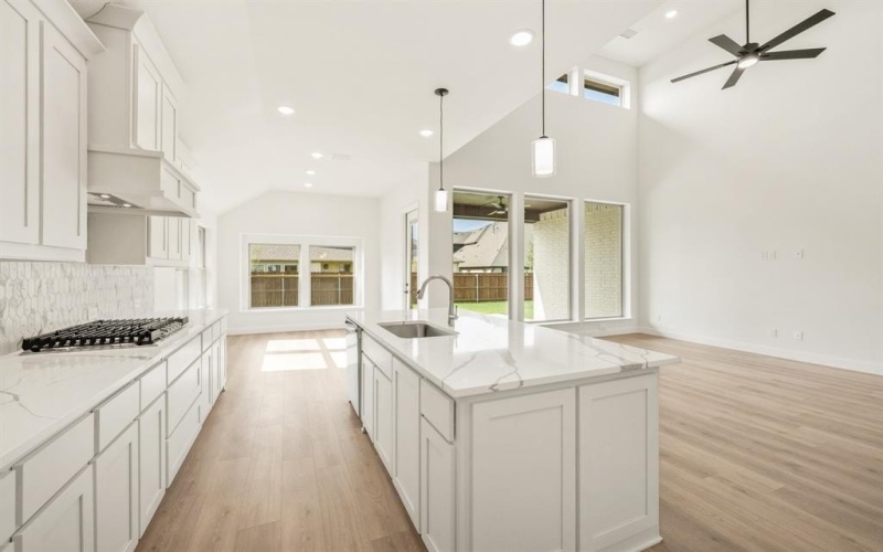 808 Blue Fescue Road, Fort Worth, TX 76247, 5 Habitaciones Habitaciones , ,5 BañosBaños,Residential,En Venta,808 Blue Fescue Road,0,21042741