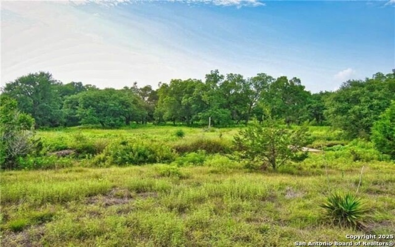 301 Spaniel Hill, Georgetown, TX 78633, 4 Bedrooms Bedrooms, ,5 BathroomsBathrooms,Residential,For Sale,301 Spaniel Hill,0,1896004