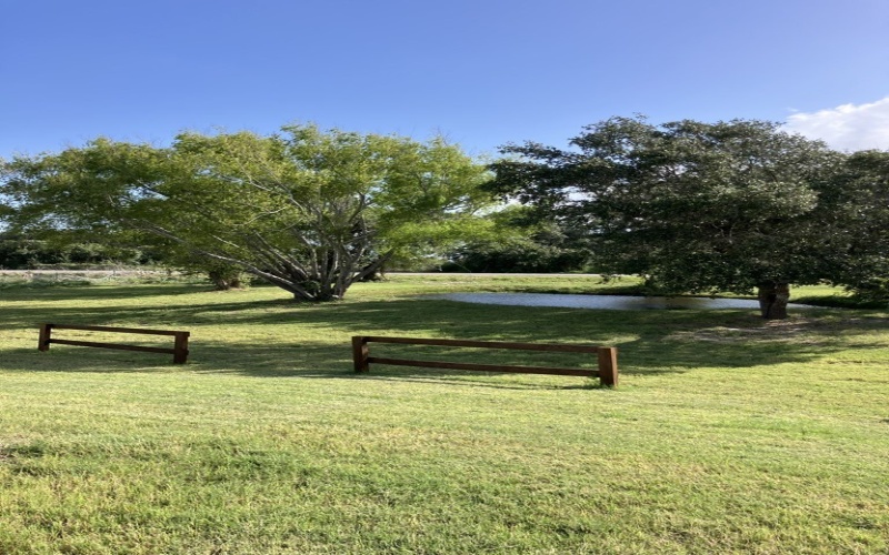 5796 Loop 1781 5796 Loop 1781, ROCKPORT, TX 78382, 2 Bedrooms Bedrooms, ,2 BathroomsBathrooms,Residential,For Sale,5796 Loop 1781 5796 Loop 1781,0,148701