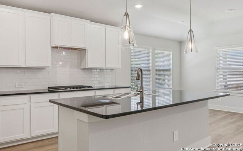 17114 Autry Falls, San Antonio, TX 78247, 4 Bedrooms Bedrooms, ,3 BathroomsBathrooms,Residential,For Sale,17114 Autry Falls,0,1896847