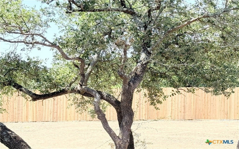 421 Ridge Crest Drive, Copperas Cove, TX 76522, 3 Bedrooms Bedrooms, ,2 BathroomsBathrooms,Residential,For Sale,421 Ridge Crest Drive,0,589340