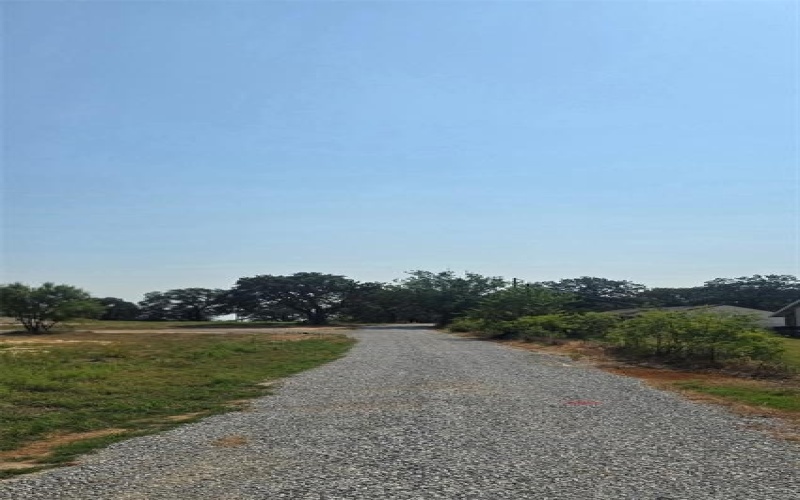 1036 Champ Lane, Springtown, TX 76082, 2 Bedrooms Bedrooms, ,1 BathroomBathrooms,Residential,For Sale,1036 Champ Lane,0,21043454