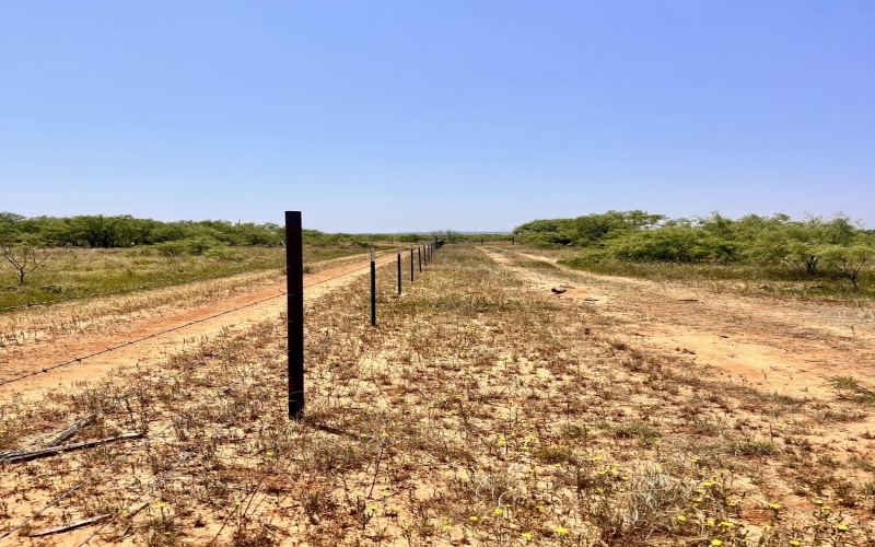 2365 CR 355, Justiceburg, TX 79330, 3 Habitaciones Habitaciones , ,3 BañosBaños,Residential,En Venta,2365 CR 355,0,202559695