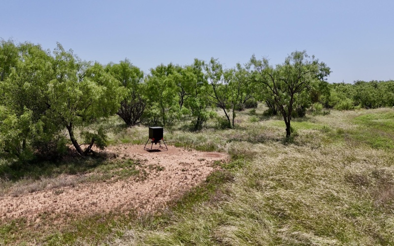 2365 CR 355, Justiceburg, TX 79330, 3 Habitaciones Habitaciones , ,3 BañosBaños,Residential,En Venta,2365 CR 355,0,202559695