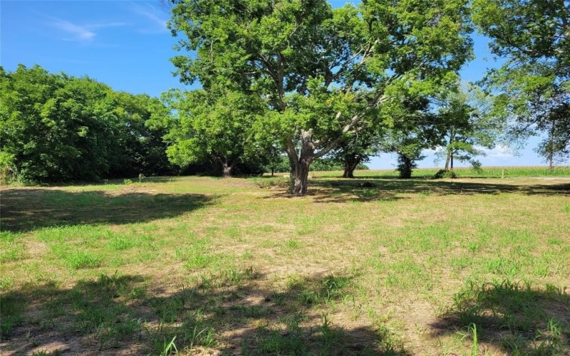 10645 County Road 579 #B, Anna, TX 75409, 4 Habitaciones Habitaciones , ,3 BañosBaños,Residential,En Venta,10645 County Road 579,0,21046985