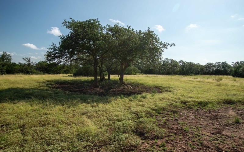 252 El Rincon Road, Mountain Home, TX 78058, ,Farm,For Sale,252 El Rincon Road,0,120170