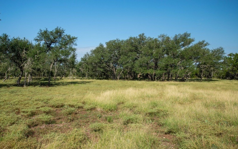 252 El Rincon Road, Mountain Home, TX 78058, ,Farm,For Sale,252 El Rincon Road,0,120170