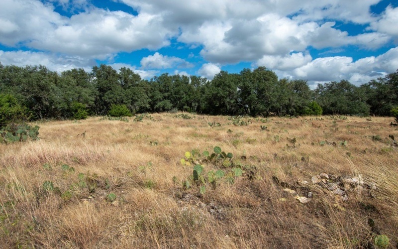 252 El Rincon Road, Mountain Home, TX 78058, ,Farm,For Sale,252 El Rincon Road,0,120170
