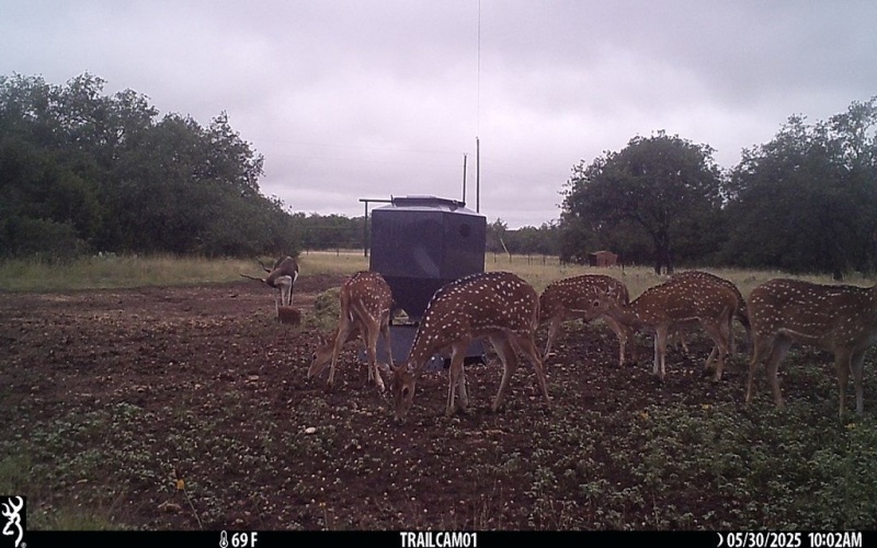 252 El Rincon Road, Mountain Home, TX 78058, ,Farm,For Sale,252 El Rincon Road,0,120170