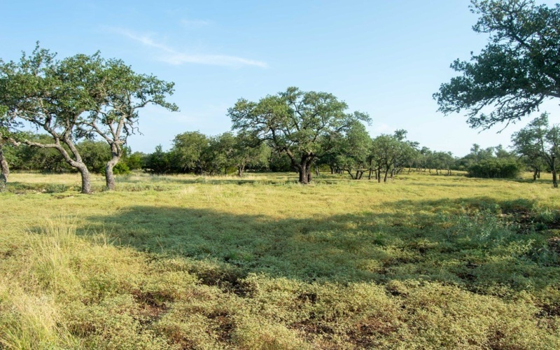 El Rincon Road, Mountain Home, TX 78058, ,Farm,For Sale,El Rincon Road,0,120172