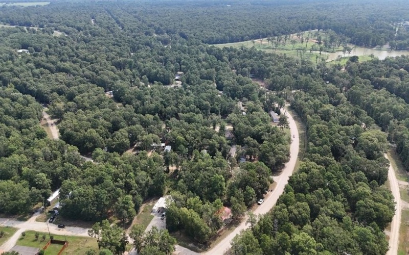 552 Alta Vista Drive, Livingston, TX 77351, ,Tierra,En Venta,552 Alta Vista Drive,0,21047980