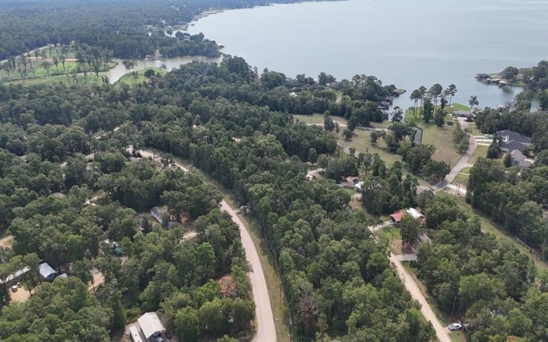 552 Alta Vista Drive, Livingston, TX 77351, ,Tierra,En Venta,552 Alta Vista Drive,0,21047980