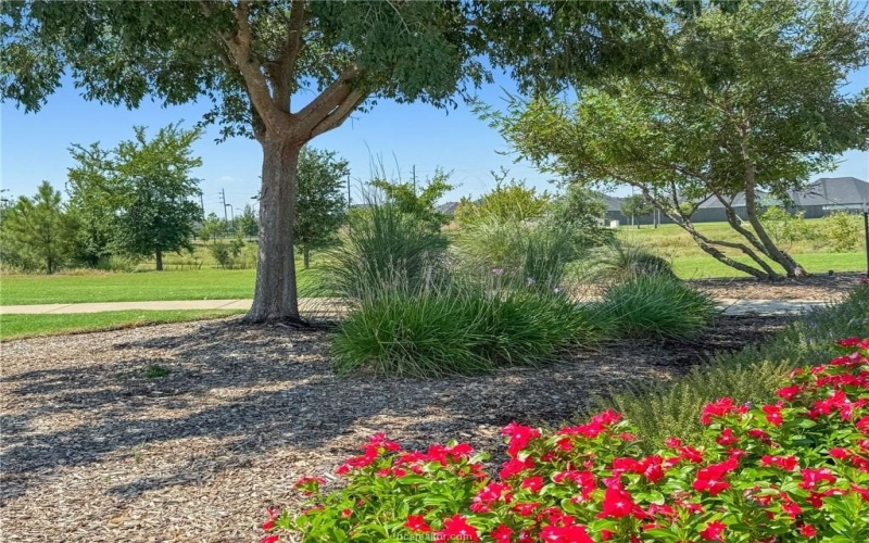 31922 Abington Village Way, Hockley, TX 77447, 3 Habitaciones Habitaciones , ,2 BañosBaños,Residential,En Venta,31922 Abington Village Way,0,25009228