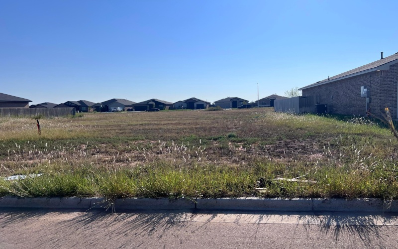 1121 Mesa, Hereford, TX 79045, 3 Bedrooms Bedrooms, ,2 BathroomsBathrooms,Residential,For Sale,1121 Mesa,0,25-7733