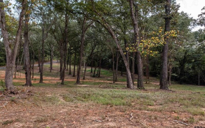 22080 Henderson County Road 4117, Frankston, TX 75763, 1 Bedroom Bedrooms, ,1 BathroomBathrooms,Residential,For Sale,22080 Henderson County Road 4117,0,25013421