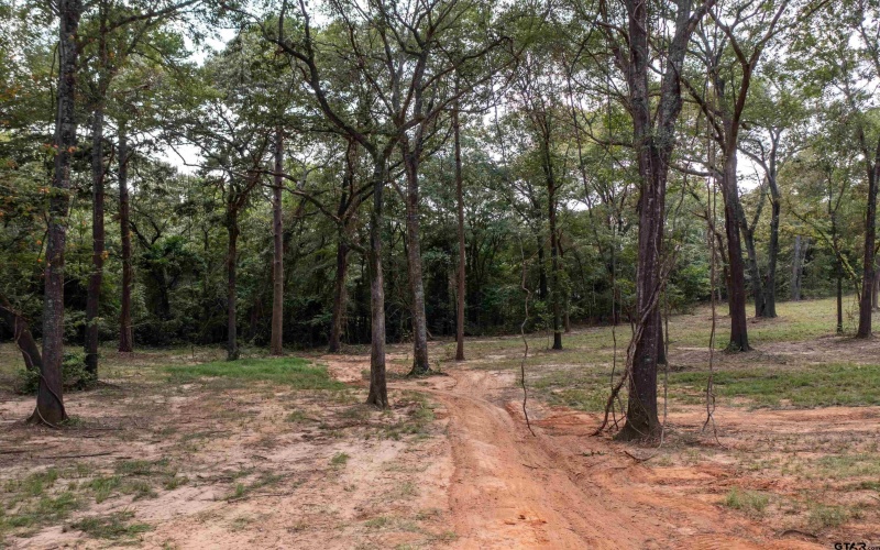 22080 Henderson County Road 4117, Frankston, TX 75763, 1 Bedroom Bedrooms, ,1 BathroomBathrooms,Residential,For Sale,22080 Henderson County Road 4117,0,25013421
