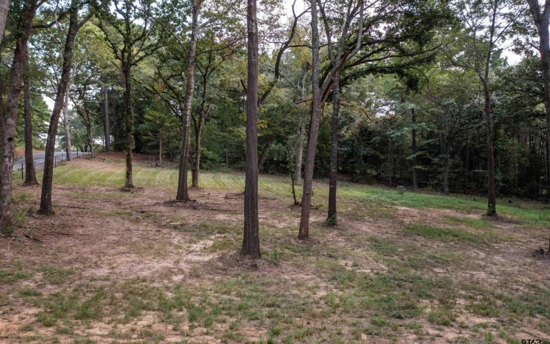 22080 Henderson County Road 4117, Frankston, TX 75763, 1 Bedroom Bedrooms, ,1 BathroomBathrooms,Residential,For Sale,22080 Henderson County Road 4117,0,25013421