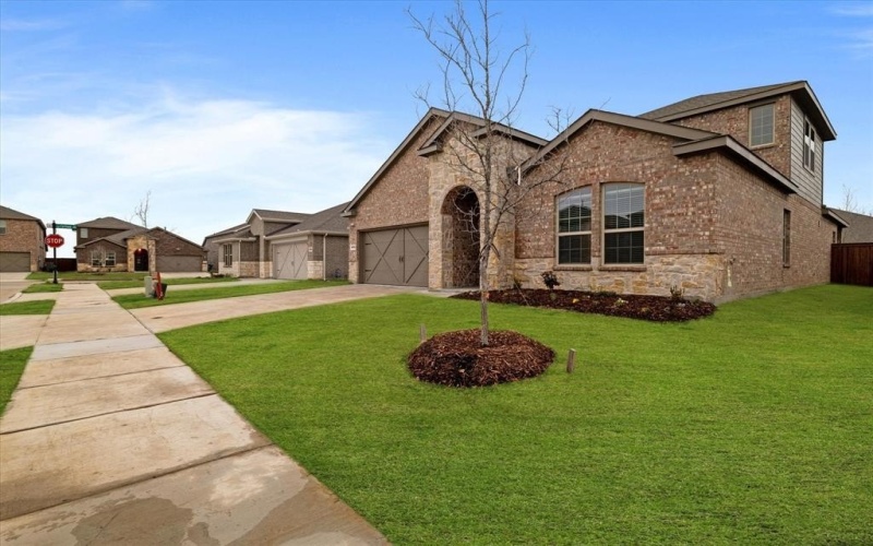 6229 Lassen Court, Celina, TX 75009, 4 Bedrooms Bedrooms, ,3 BathroomsBathrooms,Residential,For Sale,6229 Lassen Court,0,21012664