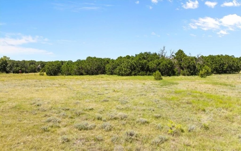 Tbd County Road 1011, Glen Rose, TX 76043, 4 Habitaciones Habitaciones , ,3 BañosBaños,Residential,En Venta,Tbd County Road 1011,0,21045396