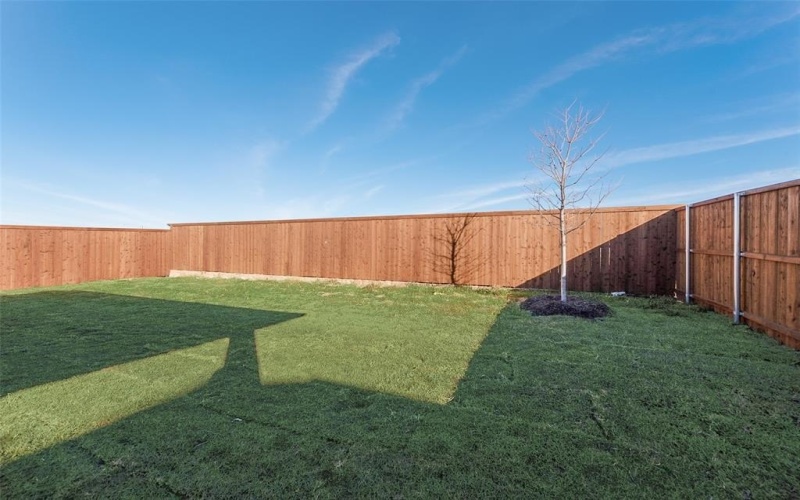 849 Blue Fescue Road, Fort Worth, TX 76247, 3 Bedrooms Bedrooms, ,2 BathroomsBathrooms,Residential,For Sale,849 Blue Fescue Road,0,21053727