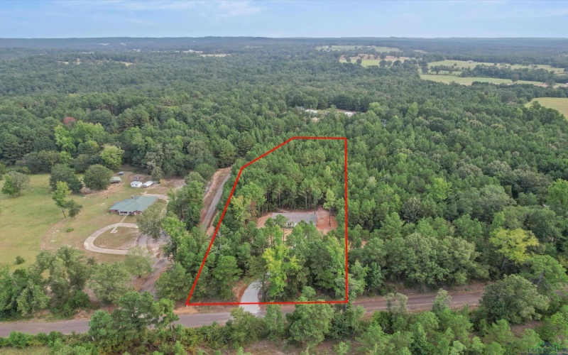 1715 Gardenia Rd, Gilmer, TX 75645, 4 Bedrooms Bedrooms, ,2 BathroomsBathrooms,Residential,For Sale,1715 Gardenia Rd,0,20255806