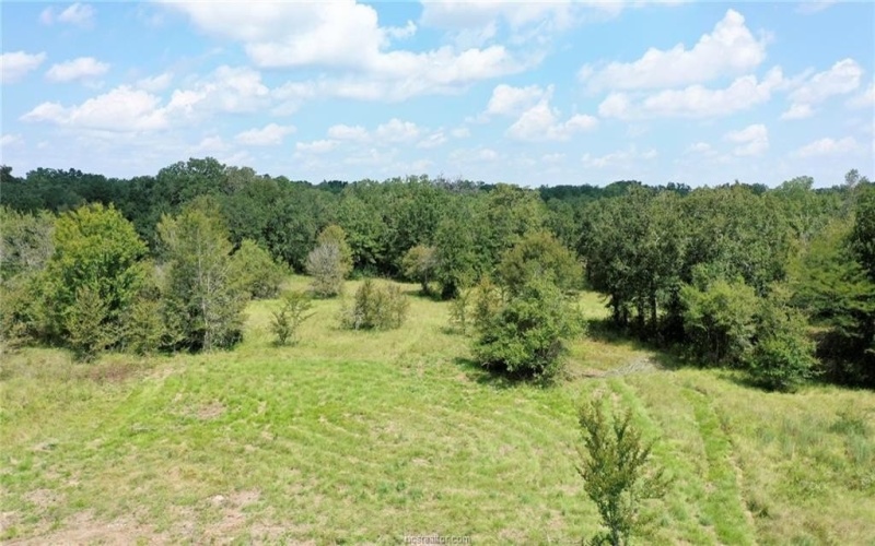 8890 Goose Prairie Road, Midway, TX 75852, 3 Habitaciones Habitaciones , ,2 BañosBaños,Residential,En Venta,8890 Goose Prairie Road,0,25009783